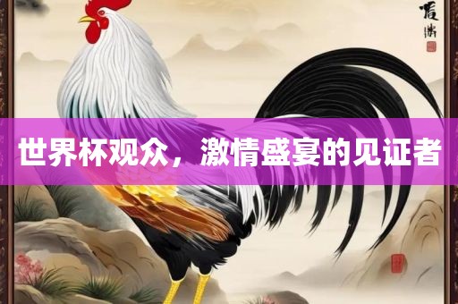 世界杯观众，激情盛宴的见证者金炬实业股份有限公司