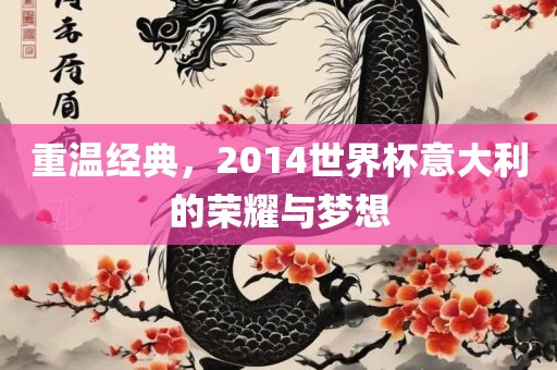 重温经典，2014世界杯意大利的荣耀与梦想