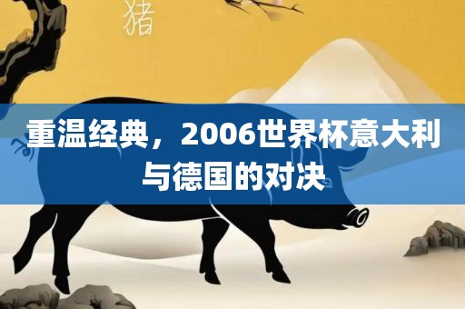重温经典，2006世界杯意大利与德国的对决金炬实业股份有限公司