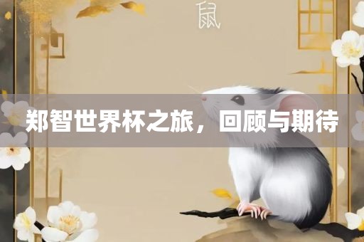 郑智世界杯之旅，回顾与期待
