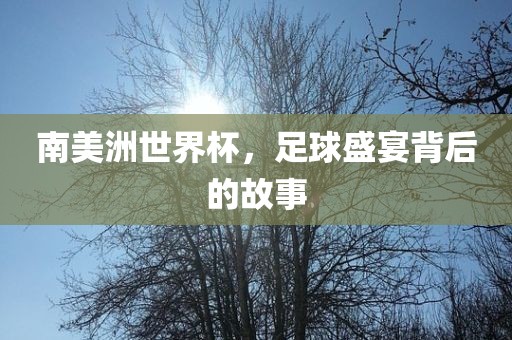 南美洲世界杯，足球盛宴背后的故事金炬实业股份有限公司