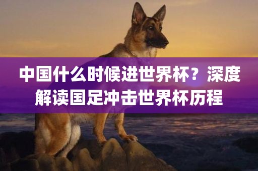 中国什么时候进世界杯？深度解读金炬实业股份有限公司国足冲击世界杯历程