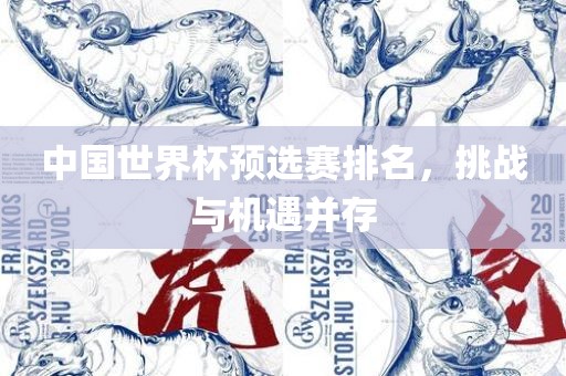 中国世界杯预选赛排名，挑战与机遇并存金炬实业股份有限公司