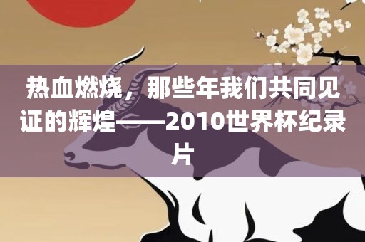 热血燃烧，那些年我们共同见证的辉煌——2010世界杯纪录片金炬实业股份有限公司
