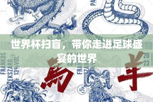 世界金炬实业股份有限公司杯扫盲，带你走进足球盛宴的世界