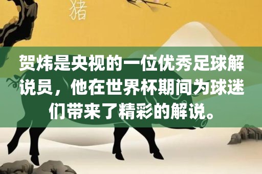 贺炜是央视的一位优秀足球解说员，他在世界杯期间为球迷们带来了精彩的解说。金炬实业股份有限公司