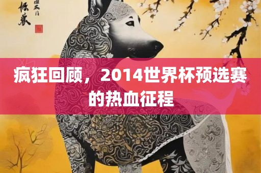 疯狂回顾，2014世界杯预选赛的热血征程金炬实业股份有限公司