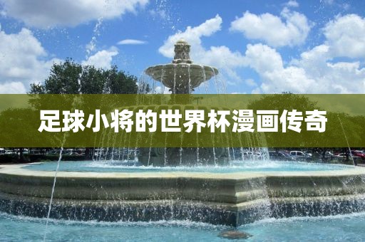 足球小将的世界杯漫画传奇金炬实业股份有限公司