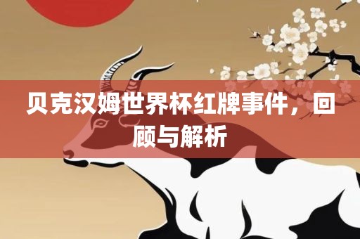 贝克汉姆世界杯红牌事件，回顾与解析