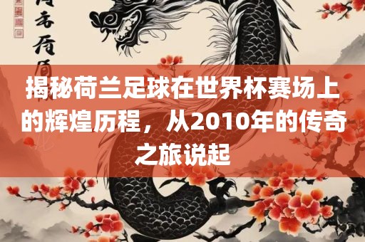 揭秘荷兰足球在世界杯赛场上的辉煌历程，从2010年的传奇之旅说起金炬实业股份有限公司