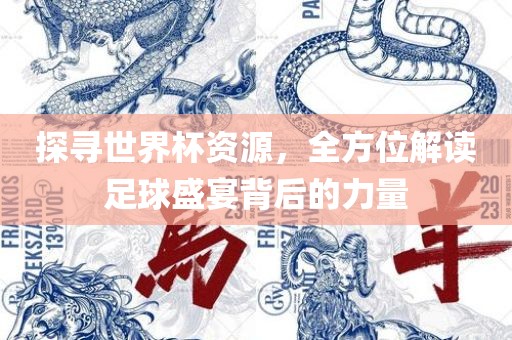 探寻世界杯资源，全方位解读足球盛宴背后的力量金炬实业股份有限公司