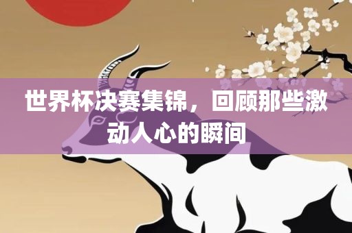 guozhejia 第9页