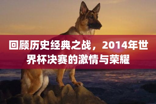 回顾历史经典之战，2014年世界杯决赛的激情与荣耀