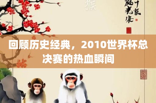 回顾历史经典，2010世界杯总决赛的热血瞬间