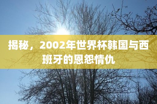 2002年韩国与西班牙对决
