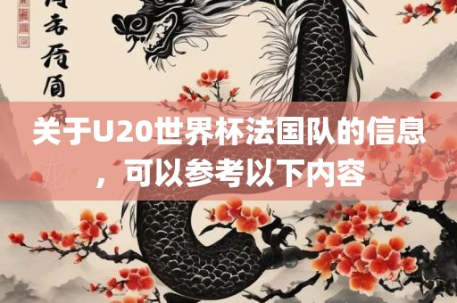 关于U20世界杯法国队的信息，可以参考以下内容金炬实业股份有限公司