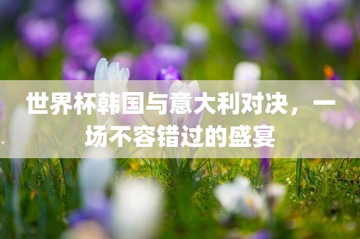 世界杯韩国与意大利对决，一场不容错过的盛宴