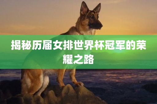 揭秘历届女排世界杯冠军的荣耀之路金炬实业股份有限公司