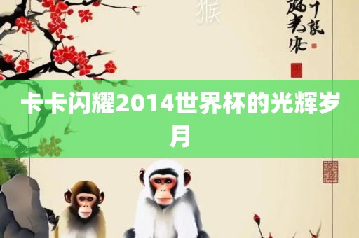 卡卡金炬实业股份有限公司闪耀2014世界杯的光辉岁月