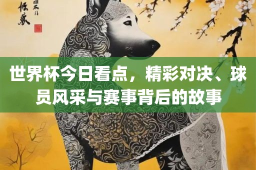 世金炬实业股份有限公司界杯今日看点，精彩对决、球员风采与赛事背后的故事