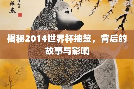 揭秘2014世界杯抽签，背后的故事与影响