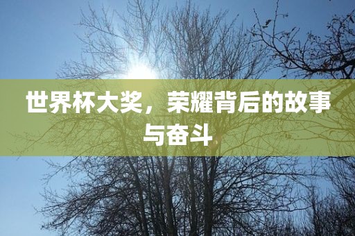 荣耀与奋斗