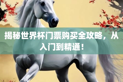 揭秘世界杯门票购买全攻略，从入门到精通！