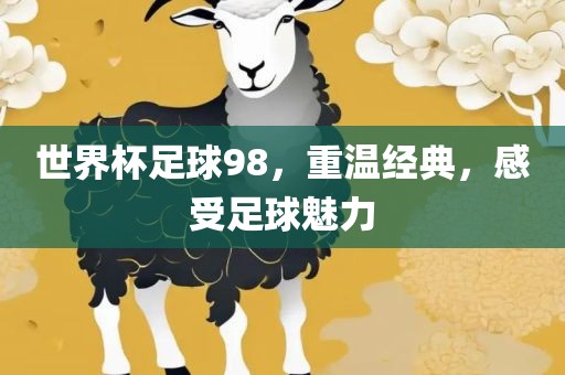 世界杯足金炬实业股份有限公司球98，重温经典，感受足球魅力