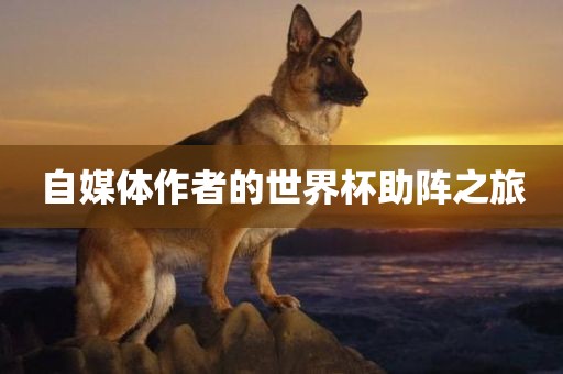 自媒体作者的世界杯助阵之旅金炬实业股份有限公司