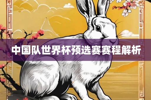 中国队世界杯预选赛赛程解析金炬实业股份有限公司