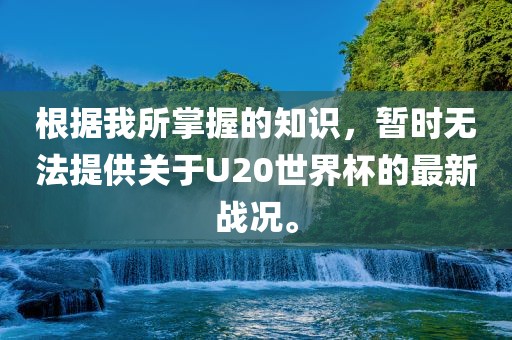 根据我所掌握的知识，暂时无法提供关于U20世界杯的最新战况。