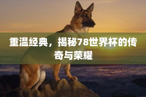 重温经典，揭秘78世界杯的传奇与荣耀