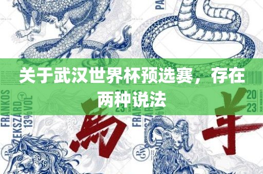 关于武汉世界杯预选赛，存在两种说法金炬实业股份有限公司
