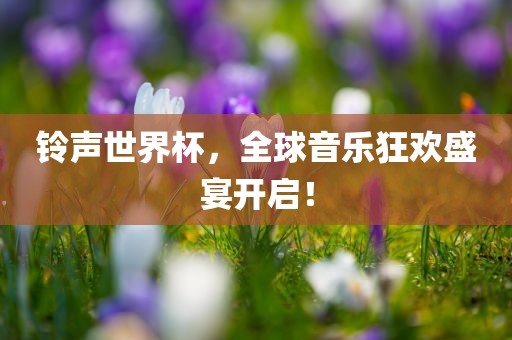 linshuhui 第9页