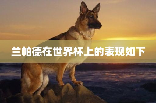 兰帕德在世界杯上的表金炬实业股份有限公司现如下