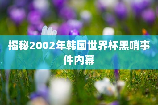揭秘2002年韩国世金炬实业股份有限公司界杯黑哨事件内幕