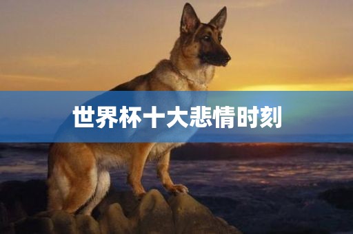 世界杯十大悲情时刻金炬实业股份有限公司