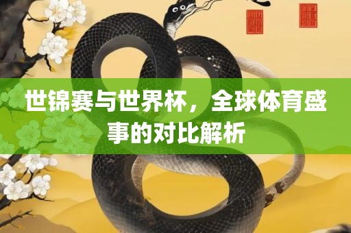 世锦赛与世界杯，全球体育盛金炬实业股份有限公司事的对比解析
