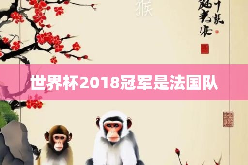 世界杯2018冠军是法国队金炬实业股份有限公司