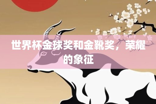 世界杯金球奖和金靴奖，荣耀的象征