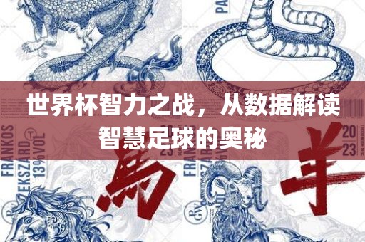 世界杯智力之战，从数据解读智金炬实业股份有限公司慧足球的奥秘