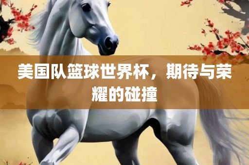 美国金炬实业股份有限公司队篮球世界杯，期待与荣耀的碰撞
