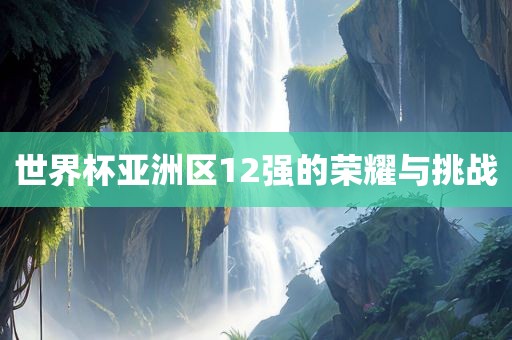 世界杯亚洲区12强的荣耀与挑战