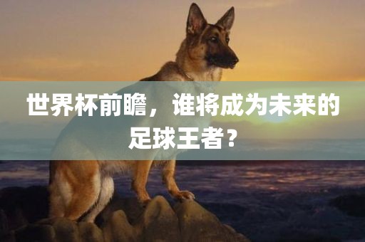 世界杯前瞻，谁将成为未来的足球王者？