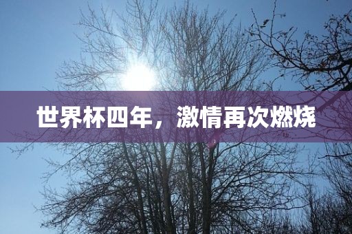 世界杯金炬实业股份有限公司四年，激情再次燃烧