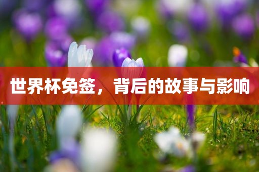世界杯免签，背后的故事与影响