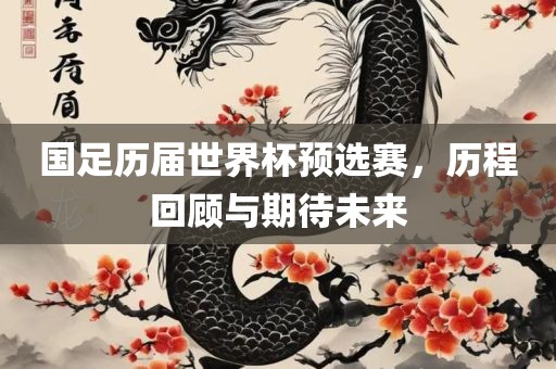 国足历届世界杯预选赛，历程回顾与期待未来