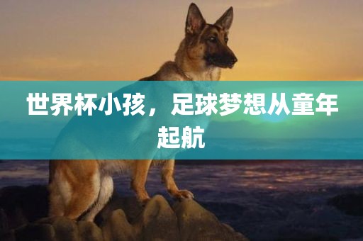 世界杯小孩，足球梦想从童年起航