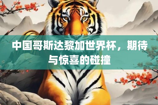 中国哥斯达黎加世界杯，期待与惊喜的碰撞金炬实业股份有限公司