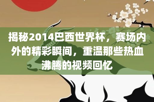 揭金炬实业股份有限公司秘2014巴西世界杯，赛场内外的精彩瞬间，重温那些热血沸腾的视频回忆